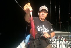 South Current 釣果