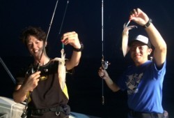 South Current 釣果