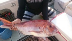 エムズジャーク（M’s JERK） 釣果