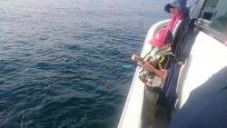 エムズジャーク（M’s JERK） 釣果