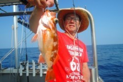 ワープゾーン 釣果