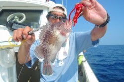 ワープゾーン 釣果