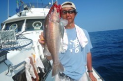 ワープゾーン 釣果