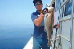 ワープゾーン 釣果