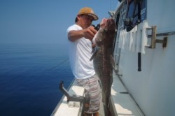 ワープゾーン 釣果