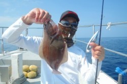 ワープゾーン 釣果