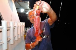 ワープゾーン 釣果