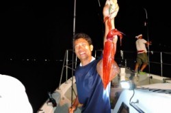 ワープゾーン 釣果