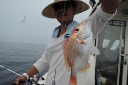 ワープゾーン 釣果