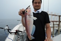 ワープゾーン 釣果