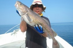 ワープゾーン 釣果