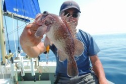 ワープゾーン 釣果