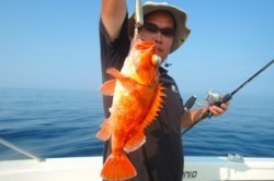 ワープゾーン 釣果