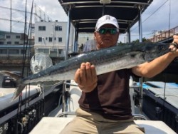 オーシャンマスター 釣果