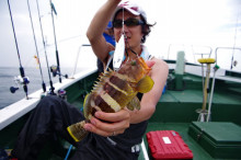 Big One　ビッグワン 釣果