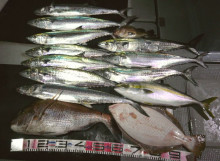 オーシャンスター(Ocean Star) …