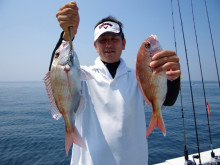 Big One　ビッグワン 釣果