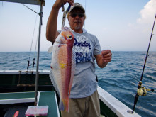 Big One　ビッグワン 釣果