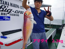 Big One　ビッグワン 釣果