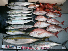 オーシャンスター(Ocean Star) …