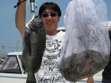 ＪＤＩ　Ｒａｃｉｎｇ　シールズマリンレジャー 釣果