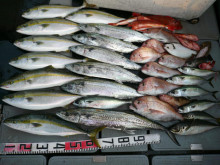 オーシャンスター(Ocean Star) …