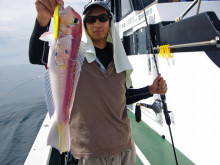 Big One　ビッグワン 釣果