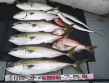 オーシャンスター(Ocean Star) …