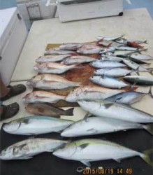 第八 源洋丸 釣果