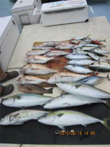 第八 源洋丸 釣果