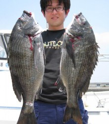 ＪＤＩ　Ｒａｃｉｎｇ　シールズマリンレジャー 釣果