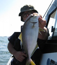 ＪＤＩ　Ｒａｃｉｎｇ　シールズマリンレジャー 釣果