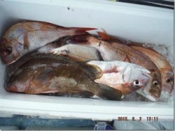 からこと丸 釣果