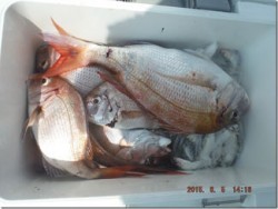 からこと丸 釣果