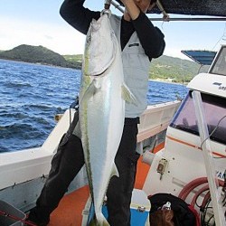 遊漁船 未紗奈 釣果
