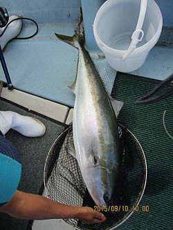 遊漁船 未紗奈 釣果