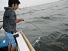 遊漁船 未紗奈 釣果