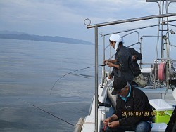 遊漁船 未紗奈 釣果