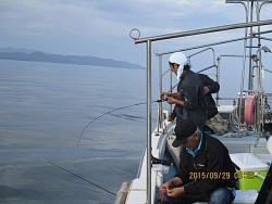 遊漁船 未紗奈 釣果