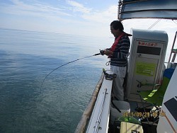 遊漁船 未紗奈 釣果