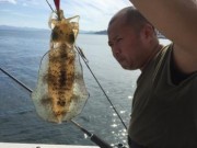 シーマジカル 釣果