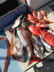 かいもん丸 釣果