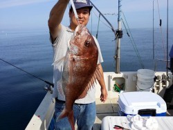 鯛多ニック 釣果