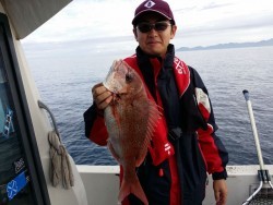 鯛多ニック 釣果