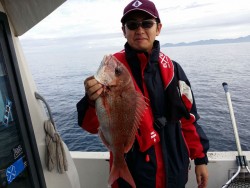 鯛多ニック 釣果