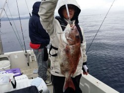 鯛多ニック 釣果