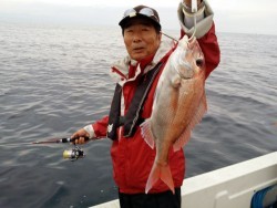 鯛多ニック 釣果