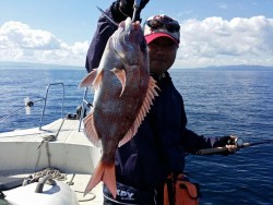 鯛多ニック 釣果