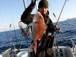 鯛多ニック 釣果