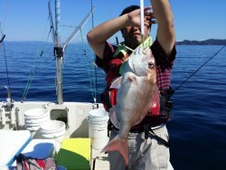 鯛多ニック 釣果